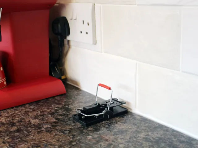 Advanced Mouse Trap