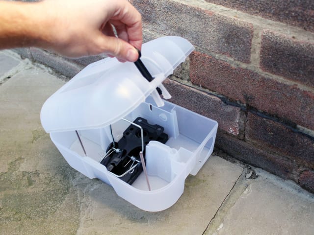 Enclosed Rat Trap Lockable Box