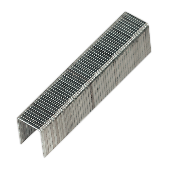 Premier Heavy-Duty Staple & Brad Nail Gun